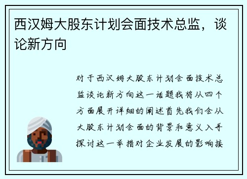 西汉姆大股东计划会面技术总监,谈论新方向